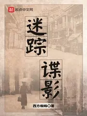 迷蹤諜影 封面