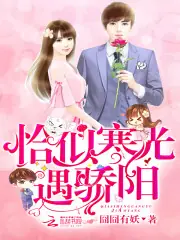 恰似寒光遇驕陽 封面