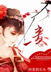 妾 封面