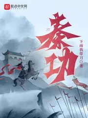 秦功 封面
