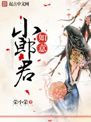 如意小郎君 封面