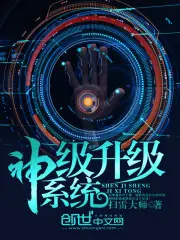 神級升級系統 封面