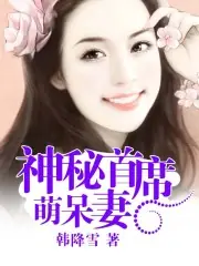 神秘總裁小小妻 封面
