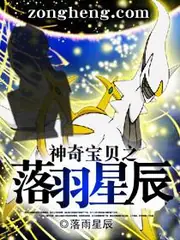 神奇寶貝之落羽星辰 封面