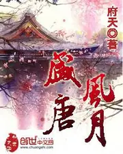 盛唐風月 封面