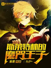 斯萊特林的魔咒王子 封面