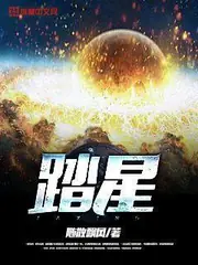 踏星 封面