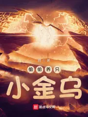 偷偷養只小金烏 封面