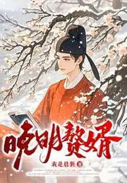 晚明贅婿 封面