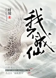 我不成仙 封面