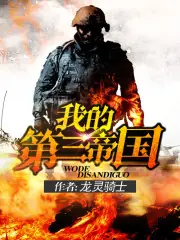 我的第三帝國 封面