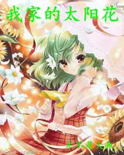 我家的太陽花 封面