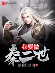 我要做秦二世 封面