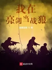 我在亮劍當戰狼 封面