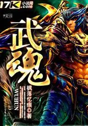 武魂 封面