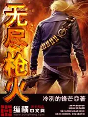 無盡槍火 封面
