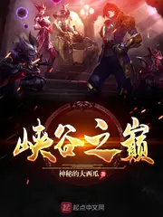峽谷之巔 封面