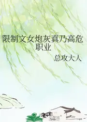 限制文女炮灰真乃高危職業 封面
