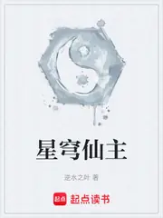 星穹仙主 封面