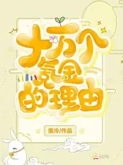 十萬個氪金的理由 封面