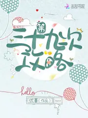 第三十九次攻略 封面