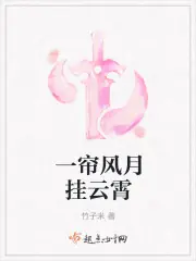 一簾風月九重天 封面