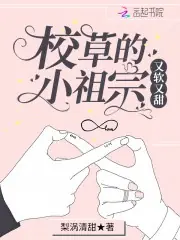 校草的小祖宗又軟又甜 封面