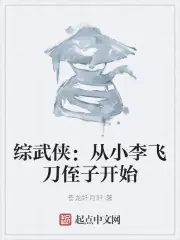 綜武俠：從小李飛刀侄子開始 封面