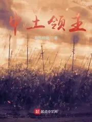 魔戒：中土領主 封面
