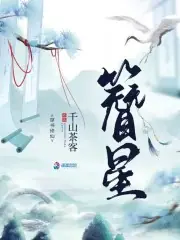 簪星 封面