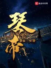 琴帝 封面