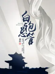 白袍總管 封面
