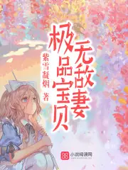 極品寶貝無敵妻 封面