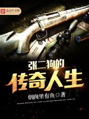張二狗的傳奇人生 封面