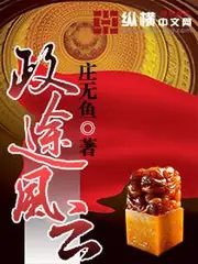政途風雲 封面