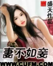 職場潛規則：妻不如妾 封面