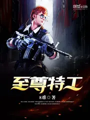 至尊特工 封面