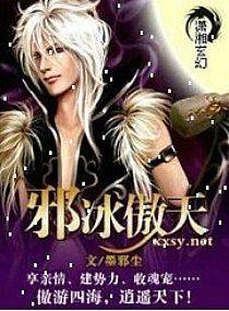 邪冰傲天