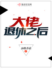 大佬退休之後 封面