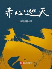 赤心巡天 封面