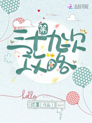第三十九次攻略 封面