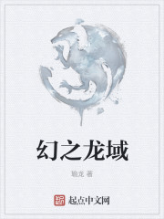 幻之龍域 封面