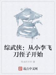 綜武俠：從小李飛刀侄子開始 封面
