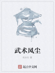 武術風塵 封面