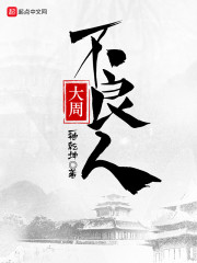 大周不良人 封面