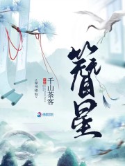 簪星 封面