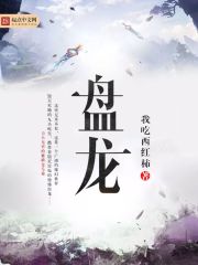 盤龍 封面